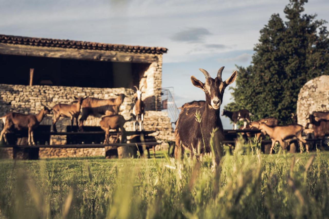 Le Domaine Du Castellas Sivergues Exterior foto